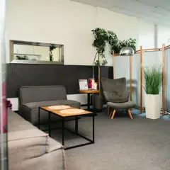 Nowoczesne wnętrze spa z szarymi sofami, fotelem, stolikami i roślinami.