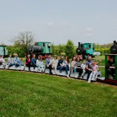 Skansen maszyn parowych w Tarnowskich Górach – co warto zobaczyć?