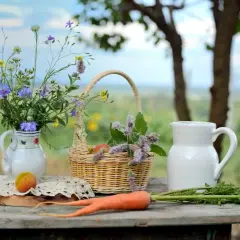 Jak zacząć agroturystykę i uniknąć najczęstszych błędów?
