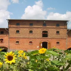 Mniszki Skansen – odkryj fascynujące rzemiosła i lokalną historię
