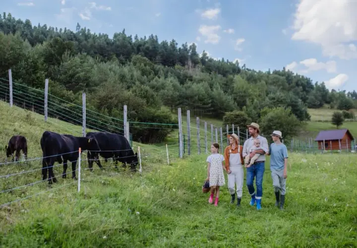 Czy agroturystyka jest działalnością gospodarczą? Sprawdź, co musisz wiedzieć