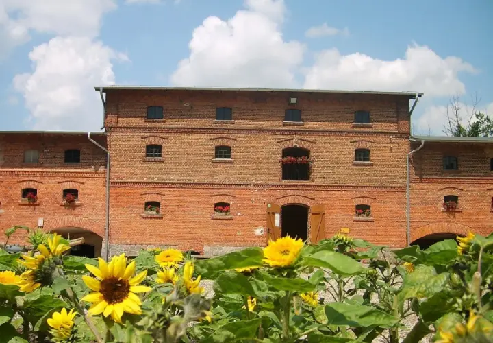 Mniszki Skansen – odkryj fascynujące rzemiosła i lokalną historię