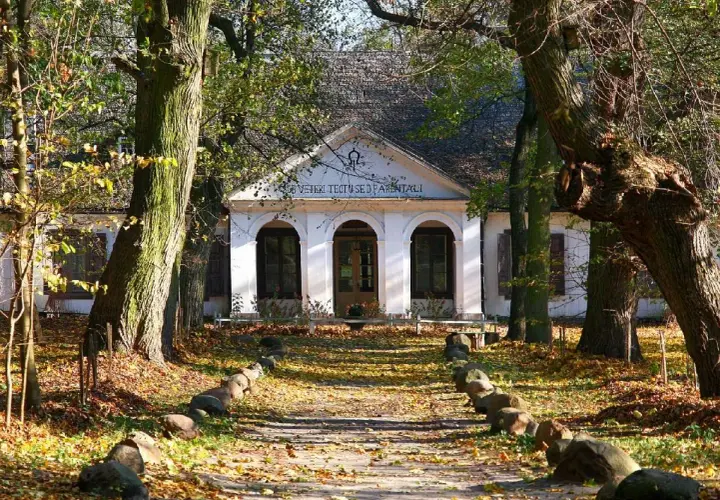 Muzeum Architektury w Nowej Suchej: Fascynująca podróż w czasie