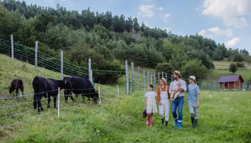 Czy agroturystyka jest działalnością gospodarczą? Sprawdź, co musisz wiedzieć