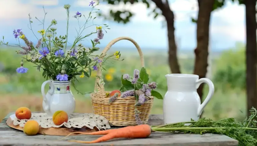 Jak zacząć agroturystykę i uniknąć najczęstszych błędów?