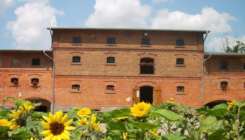 Mniszki Skansen – odkryj fascynujące rzemiosła i lokalną historię