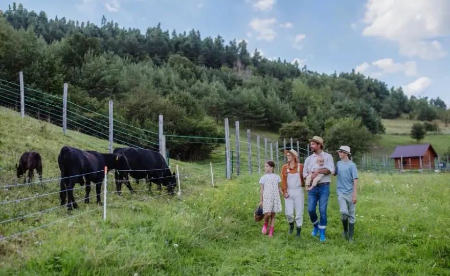 Czy agroturystyka jest działalnością gospodarczą? Sprawdź, co musisz wiedzieć
