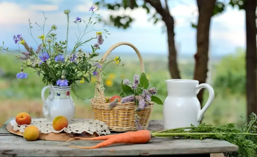 Jak zacząć agroturystykę i uniknąć najczęstszych błędów?