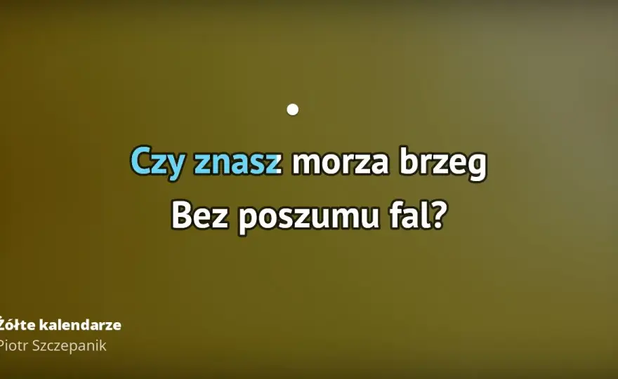 Czy znasz morza brzeg? Odkryj głębię znaczenia w piosence Szczepanika