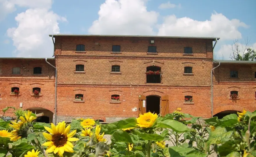 Mniszki Skansen – odkryj fascynujące rzemiosła i lokalną historię