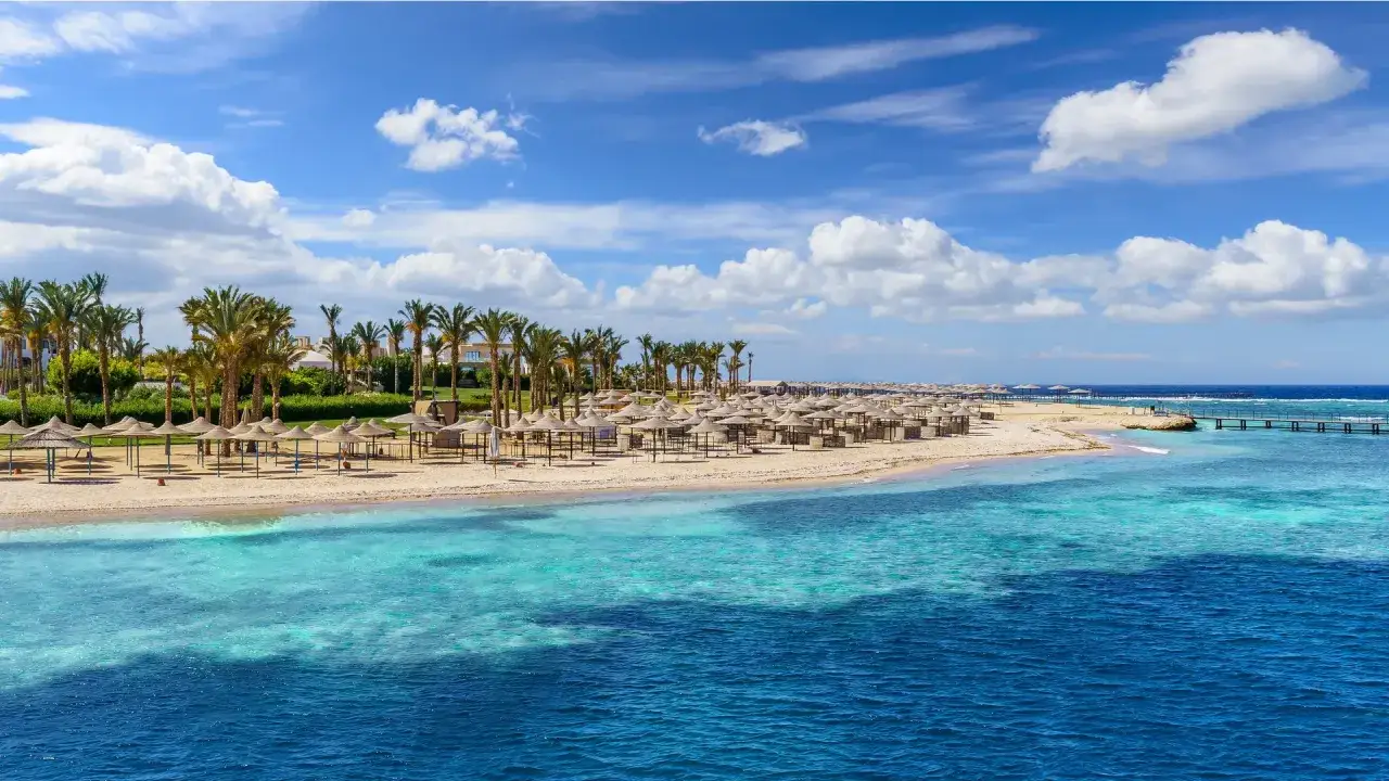 Zdjęcie Marsa Alam jakie morze? Odkryj tajemnice Morza Czerwonego